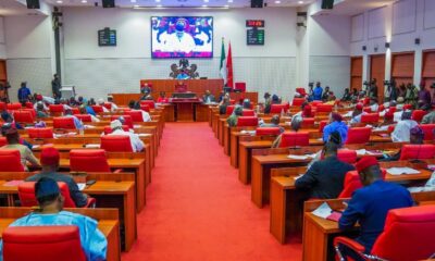 Senate Reacts Strongly to Tragic Killing of Soldiers in Delta Community