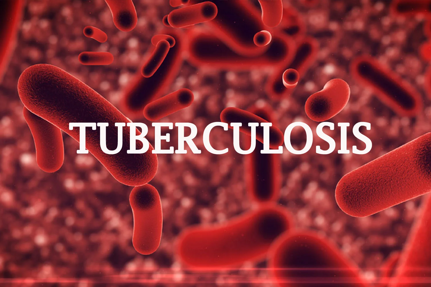 HVN Raises Awareness on Latest Tubercolosis Pandemic