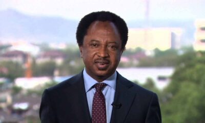Sani Calls on Government to Close Chinese Supermarket Blocking Nigerian From Entering